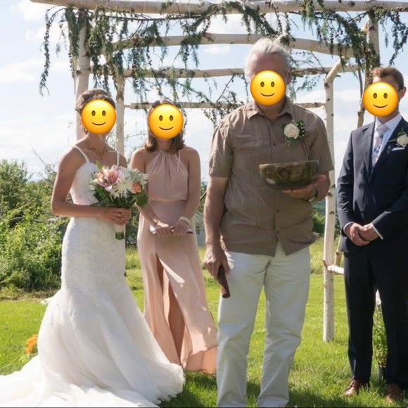 Stone Cold Fox Onyx Gown in dusty rose. Size 2 - Picture 4 of 4